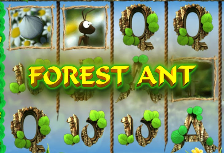 Forest Ant Slot