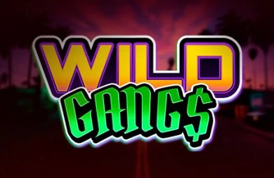 Wild Gangs demo